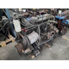 DAF WS242L
