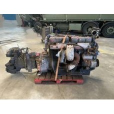 DAF WS242M